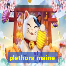 plethora maine